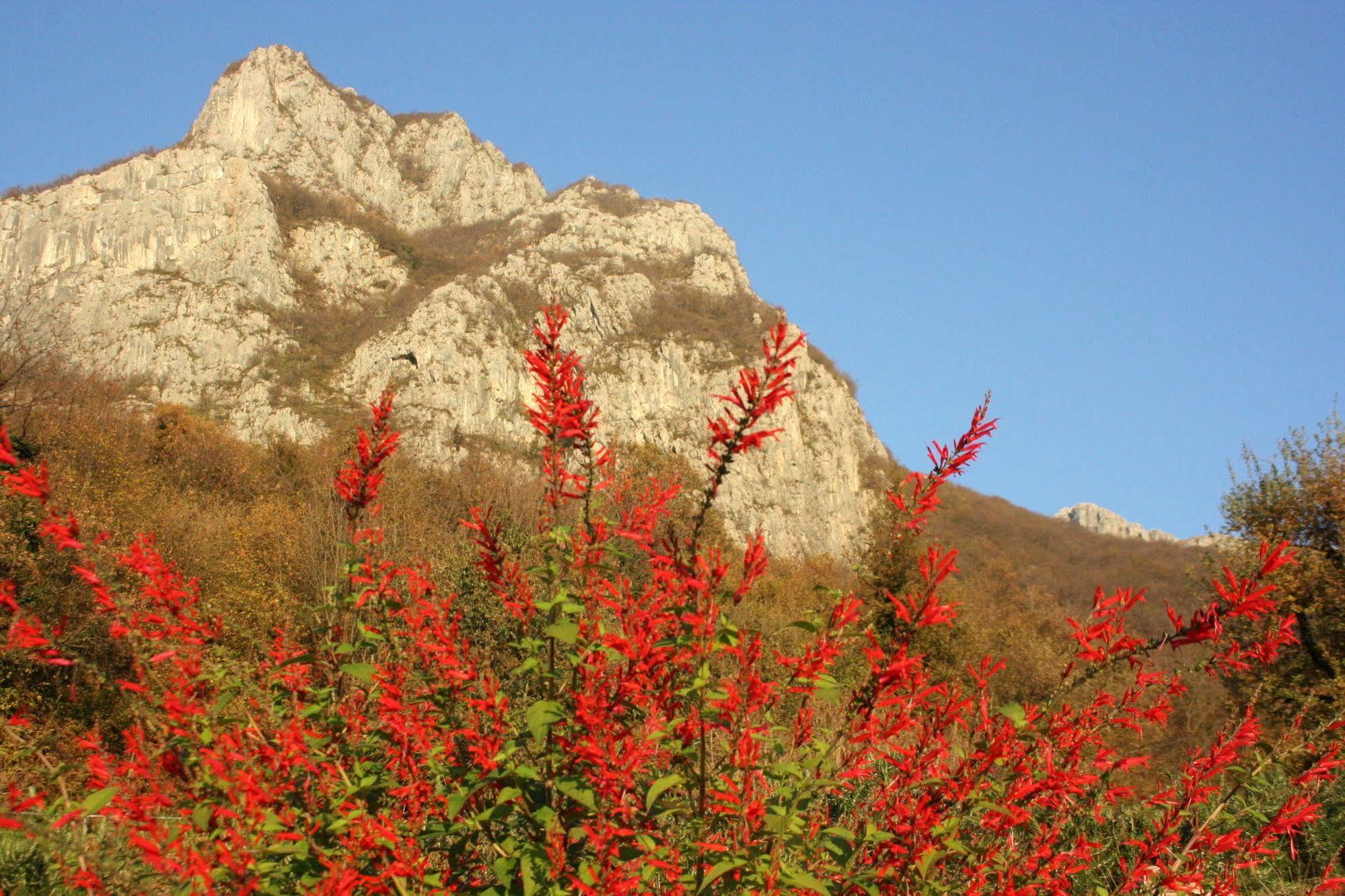 Agriturismo Deviscio Lecco Extérieur photo